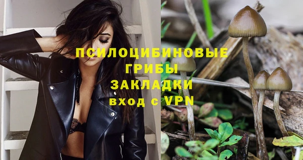 хмурый Абинск