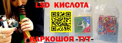 сатива Камышлов
