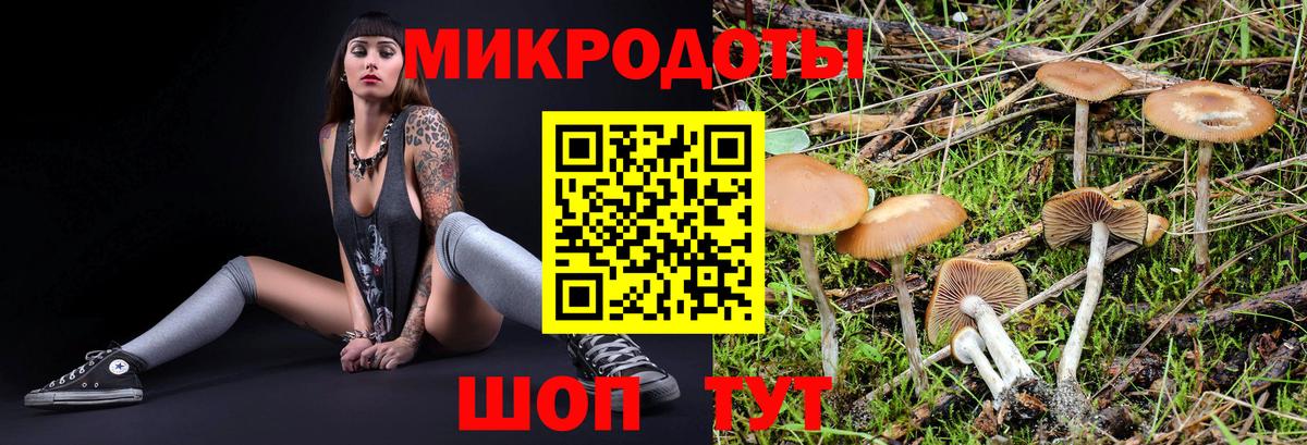 Галлюциногенные грибы GOLDEN TEACHER Лосино-Петровский