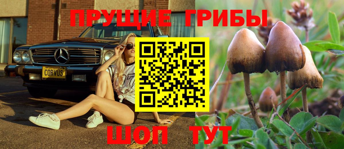 Псилоцибиновые грибы прущие грибы  магазин  наркотиков  Вход с VPN  Лосино-Петровский  Псилоцибиновые грибы ЛСД 